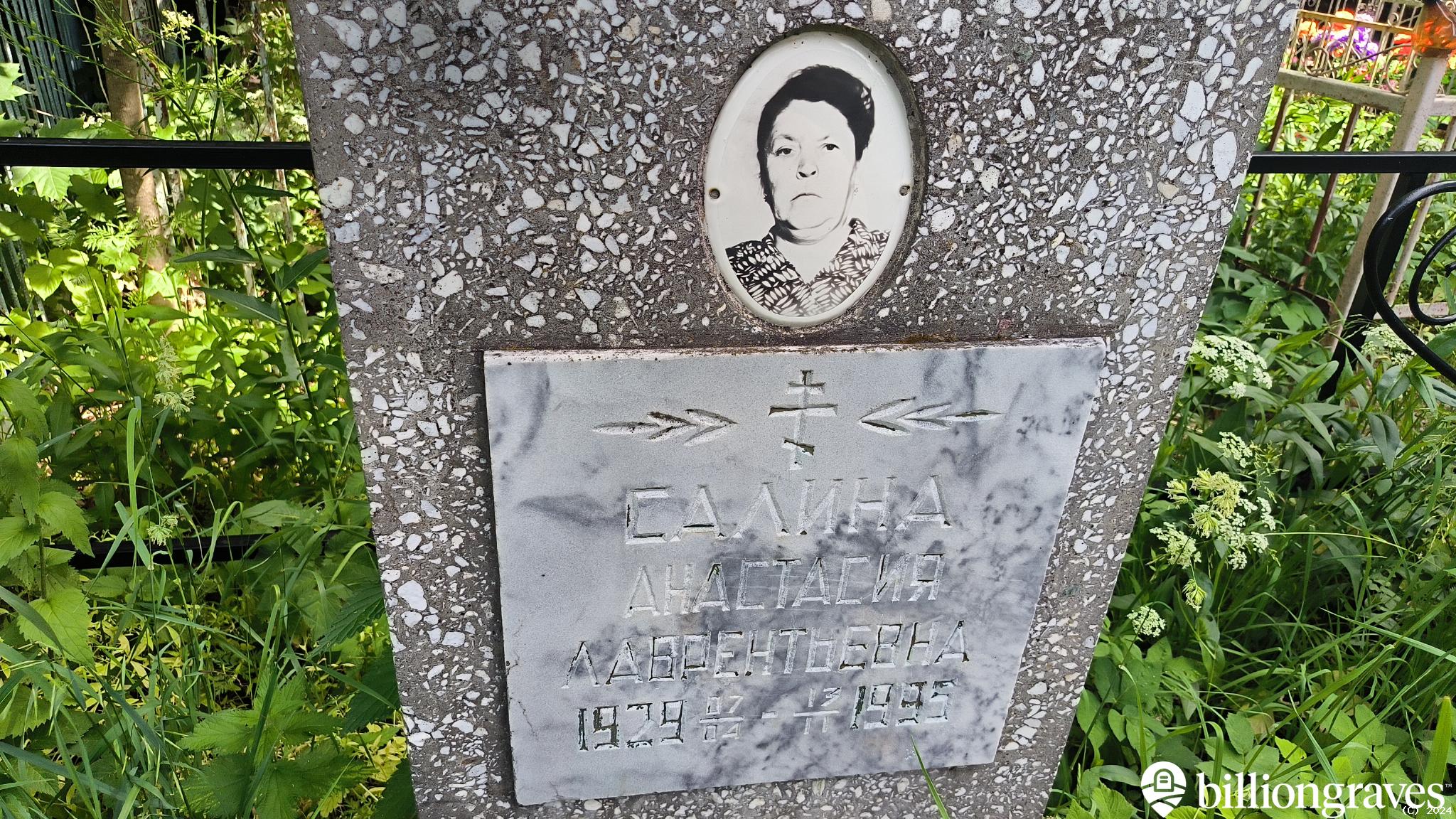 Салина Анастасия Лаврентьевна