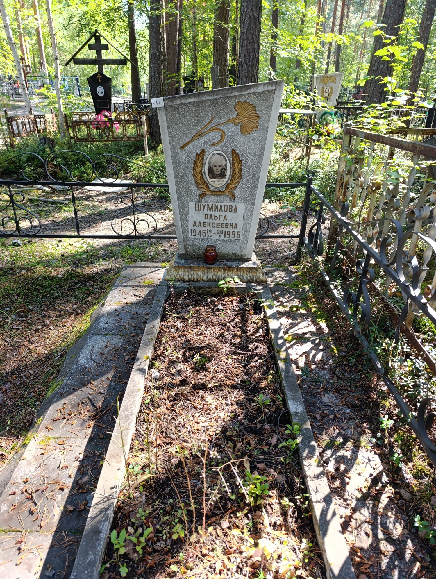 Шумилова Ольга Алексеевна