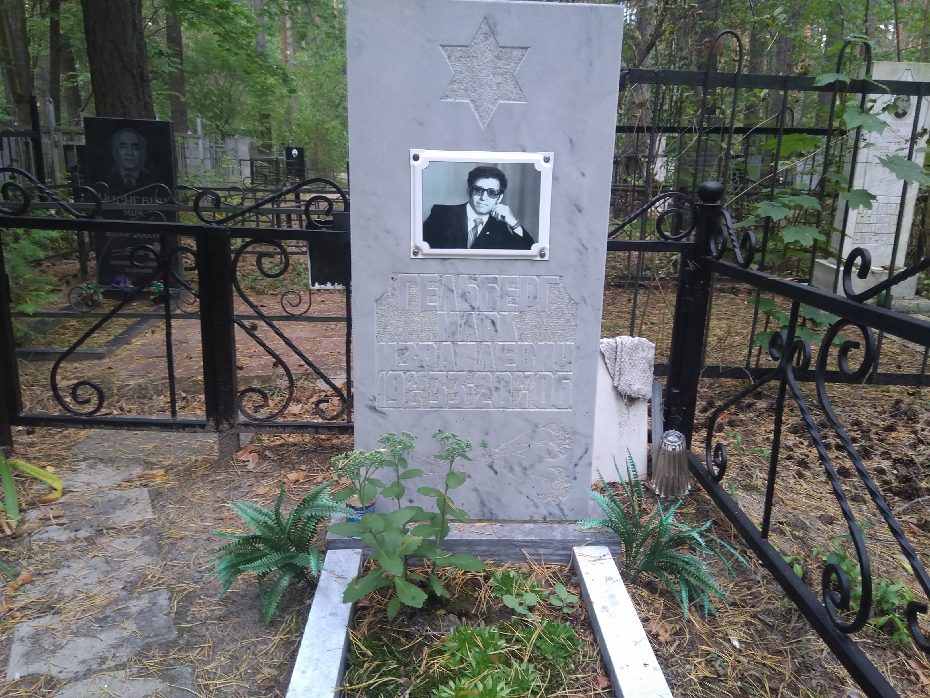 Гельберг Марк Израйлевич
