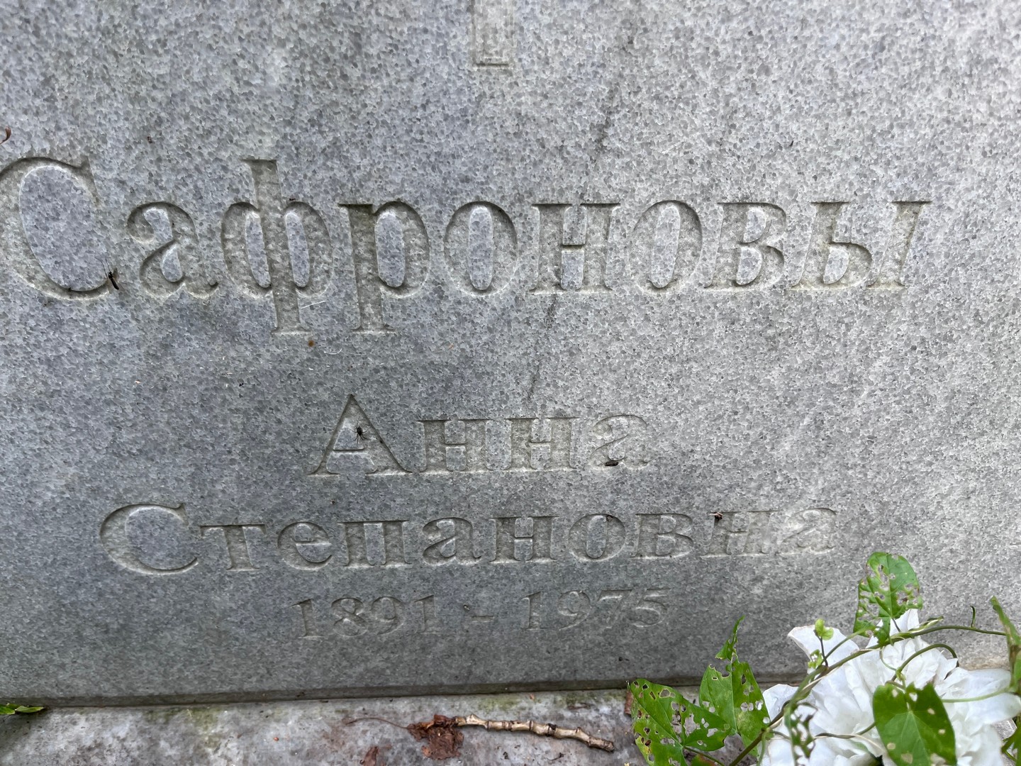 Сафронова