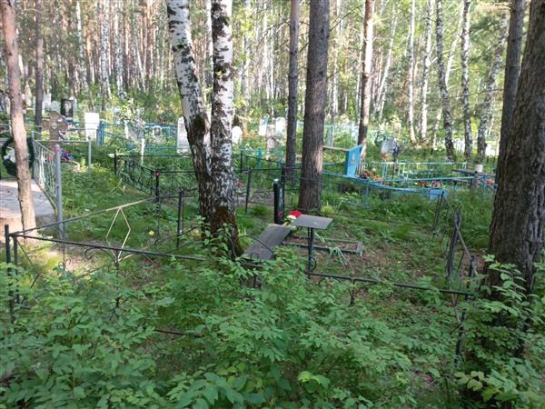 Шельтреков Василий Никитич