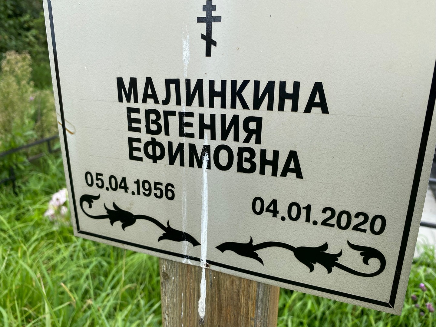 Малинкина Евгения Ефимовна