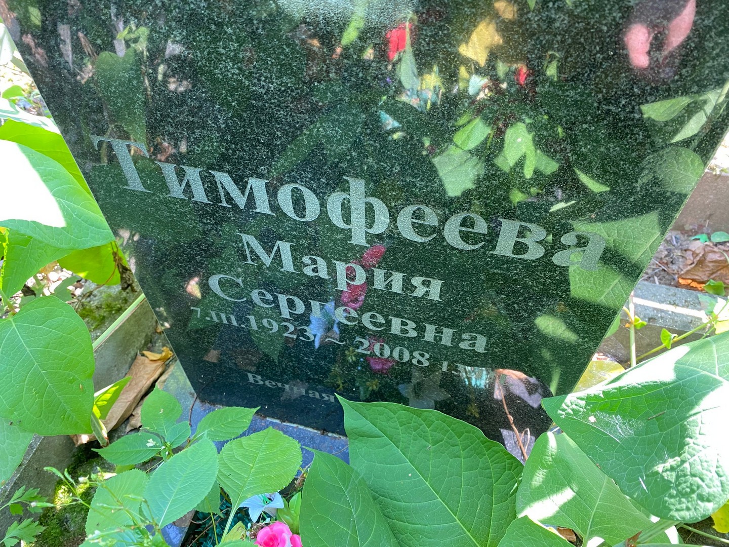 Тимофеева