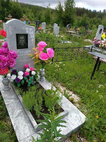 Никулин Александр Алексеевич
