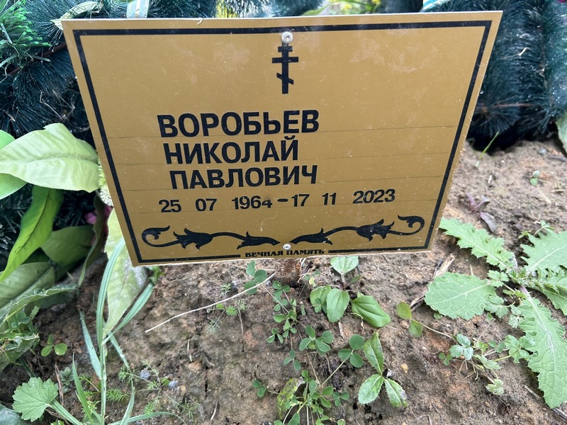 Воробьев