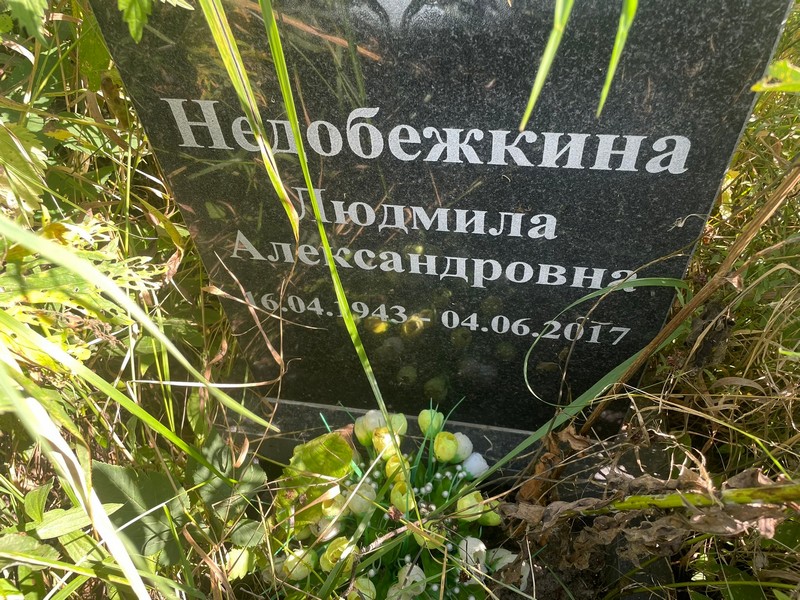 Недобежкина