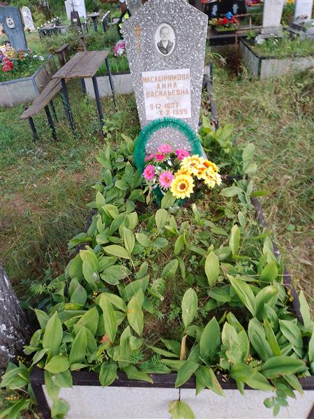 Масленникова Анна Васильевна