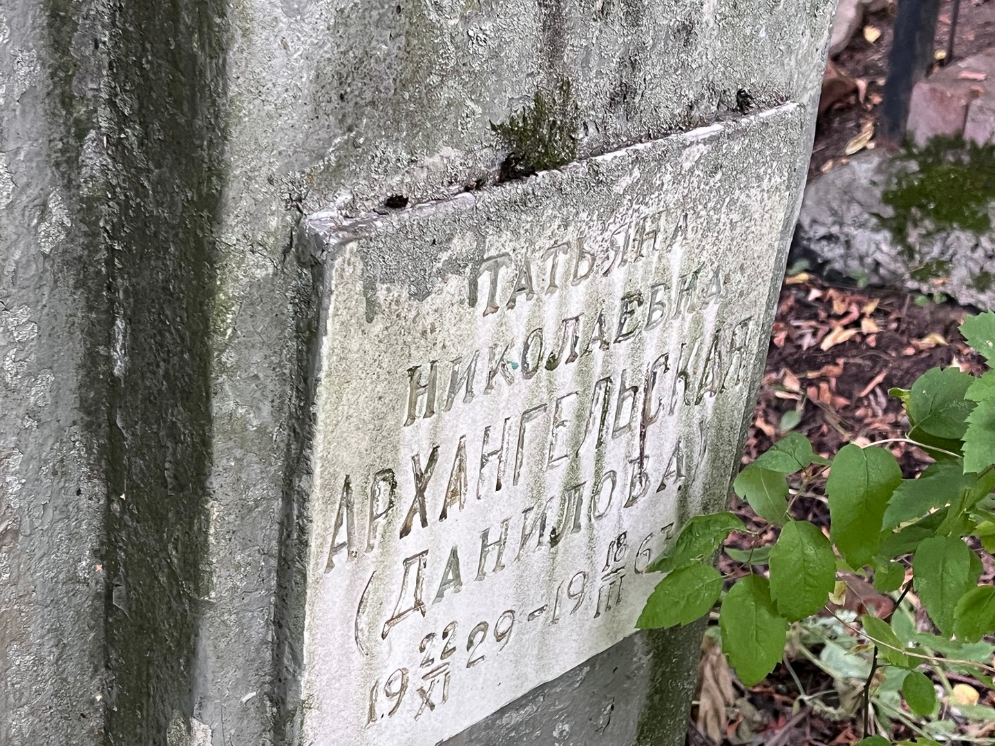 (Данилова) Архангельская Татьяна