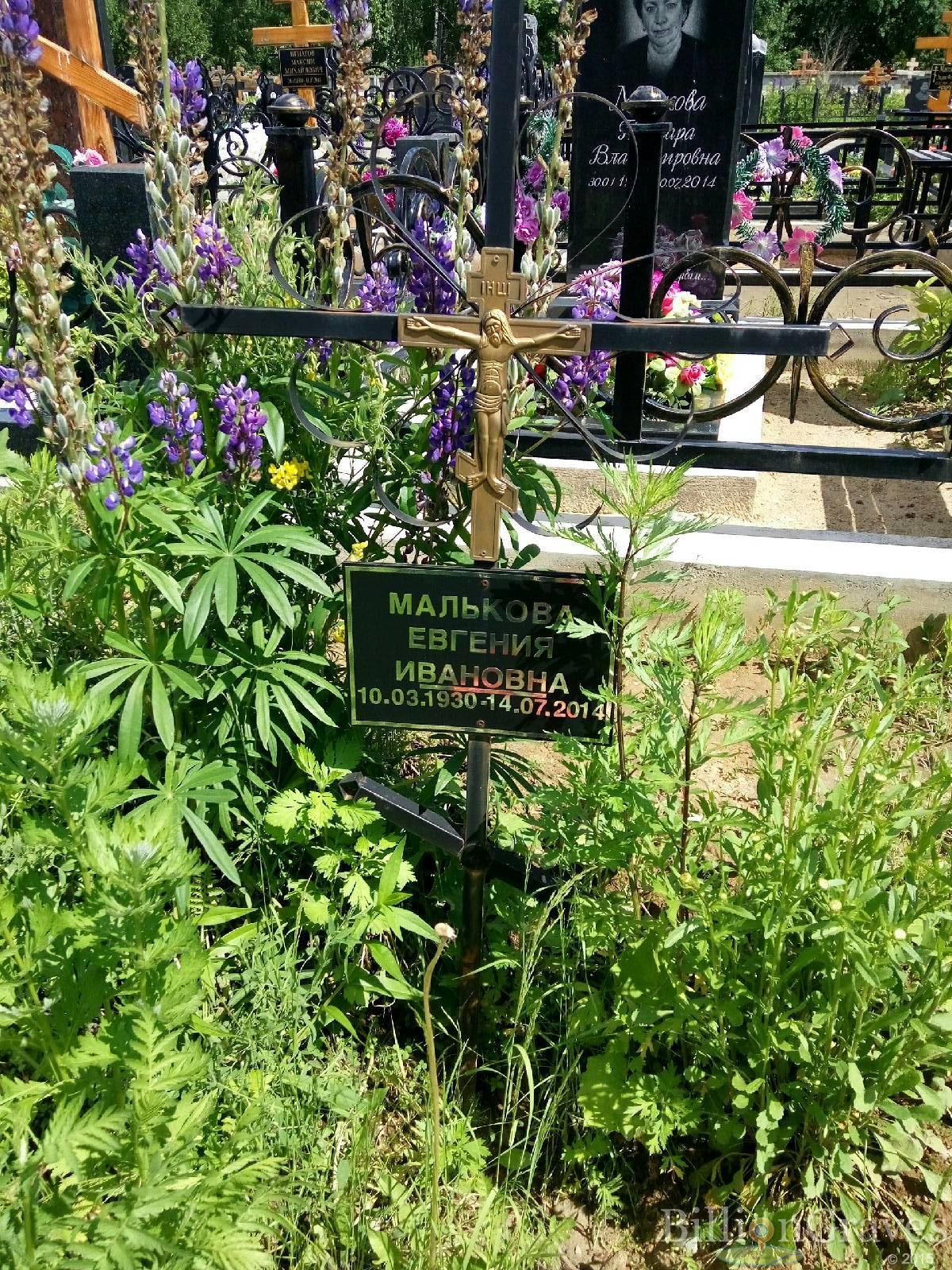 Малькова Евгения Ивановна