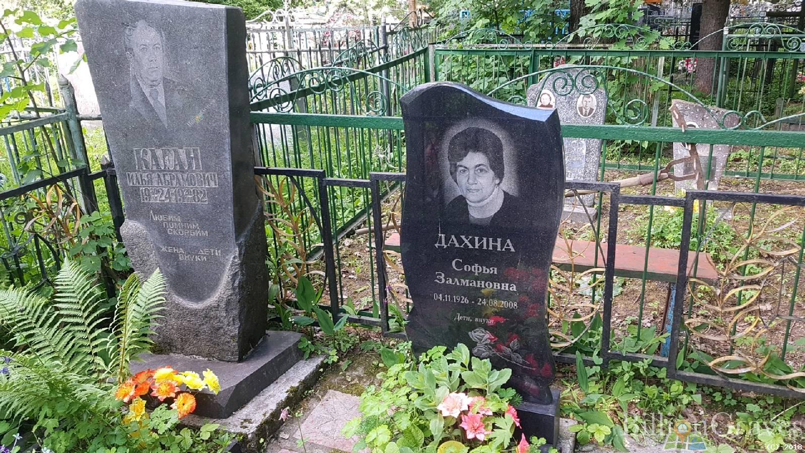 Дахина Софья Залмановна