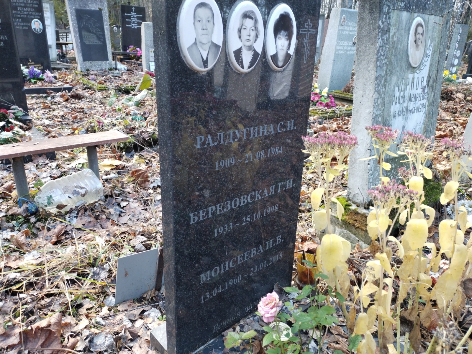 Моисеева И. В.