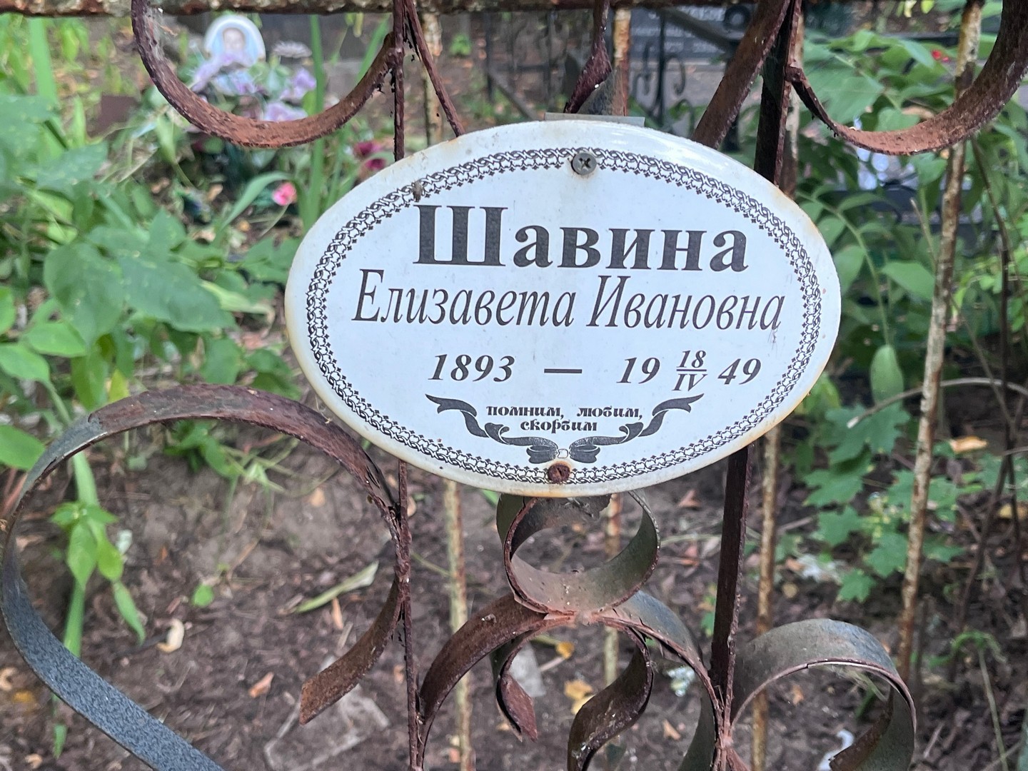 Шавина
