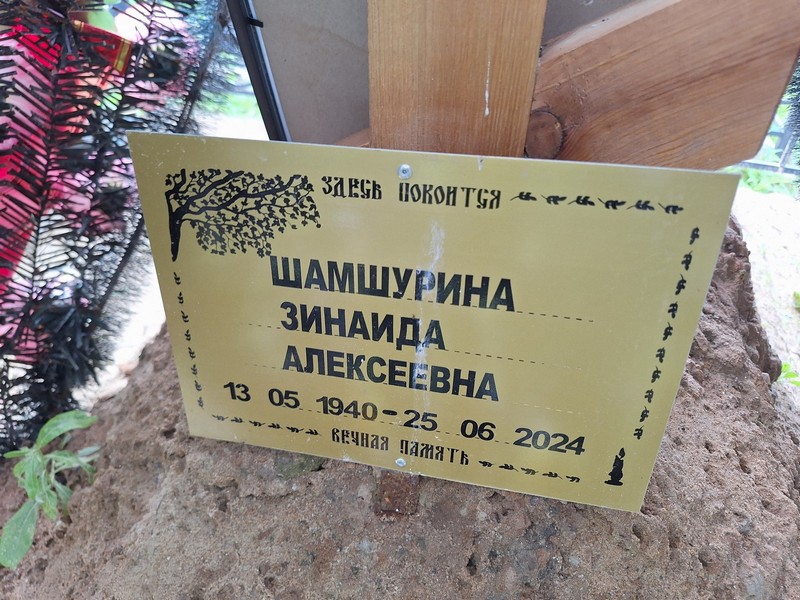 Шамшурина