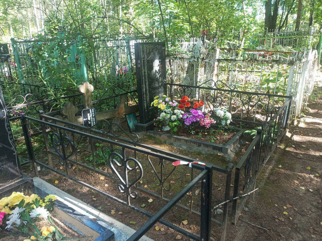 Неймарк Александр Юрьевич