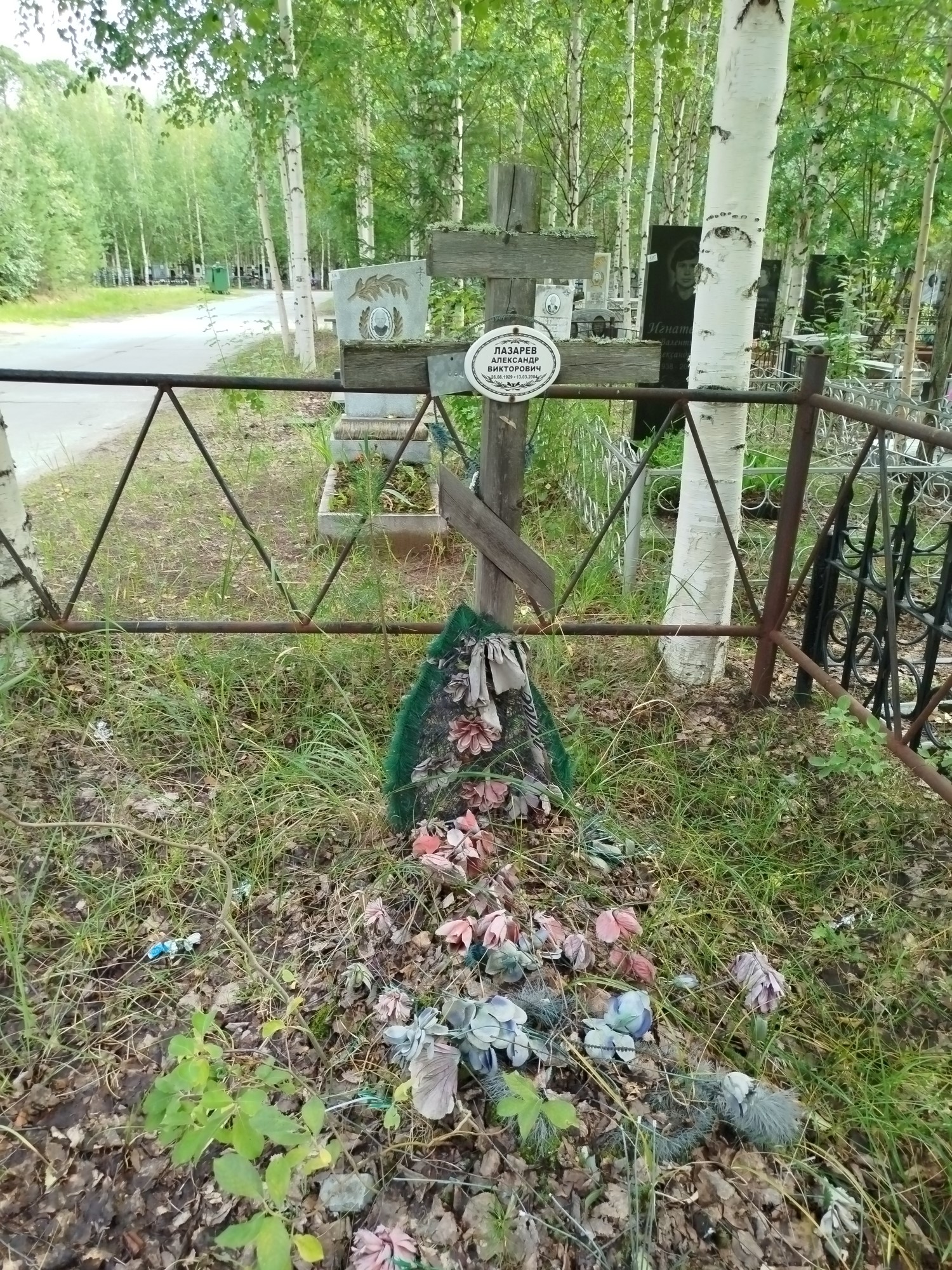 Лазарев Александр Викторович