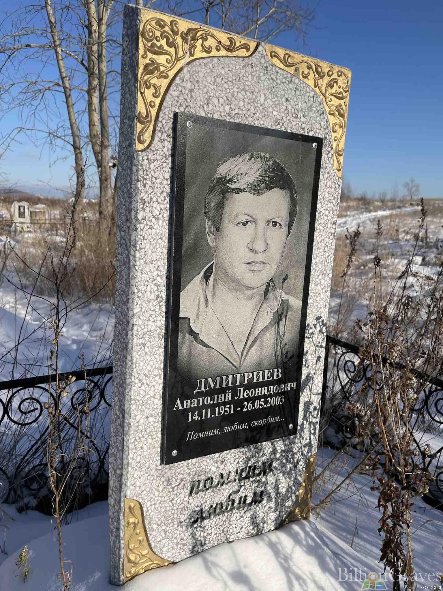 Дмитриев Анатолий Леонидович
