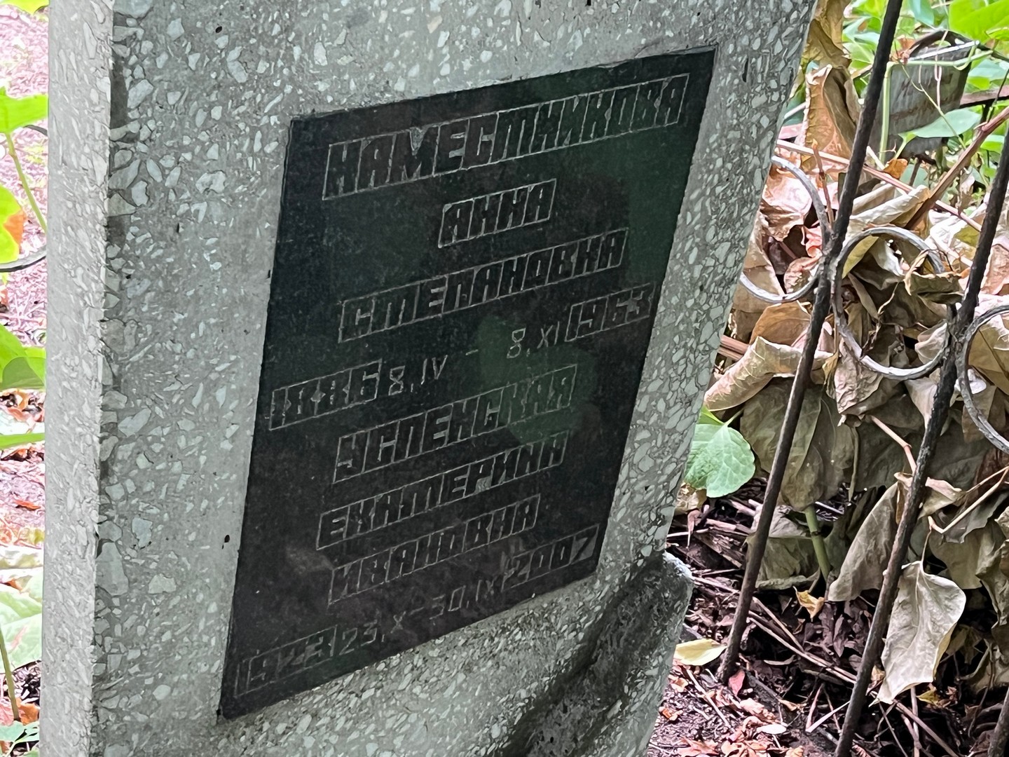 Наместникова