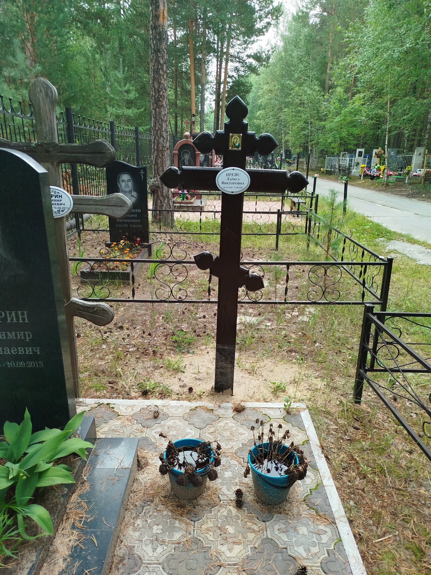 Прейс Лариса Викторовна
