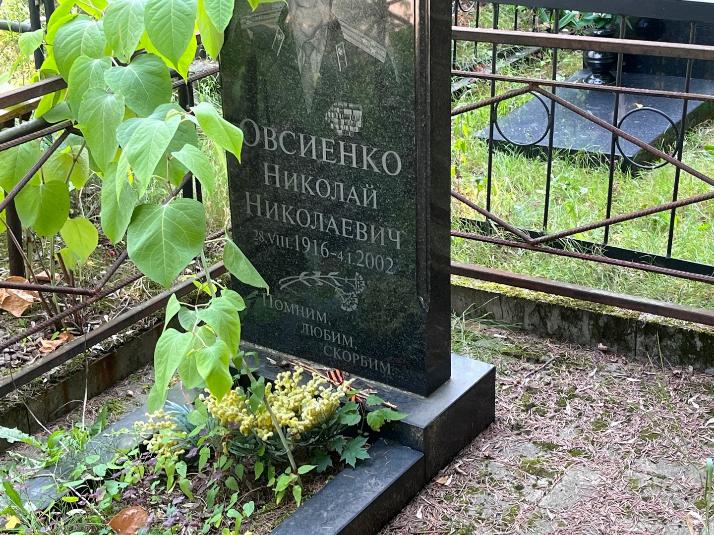 Овсиенко