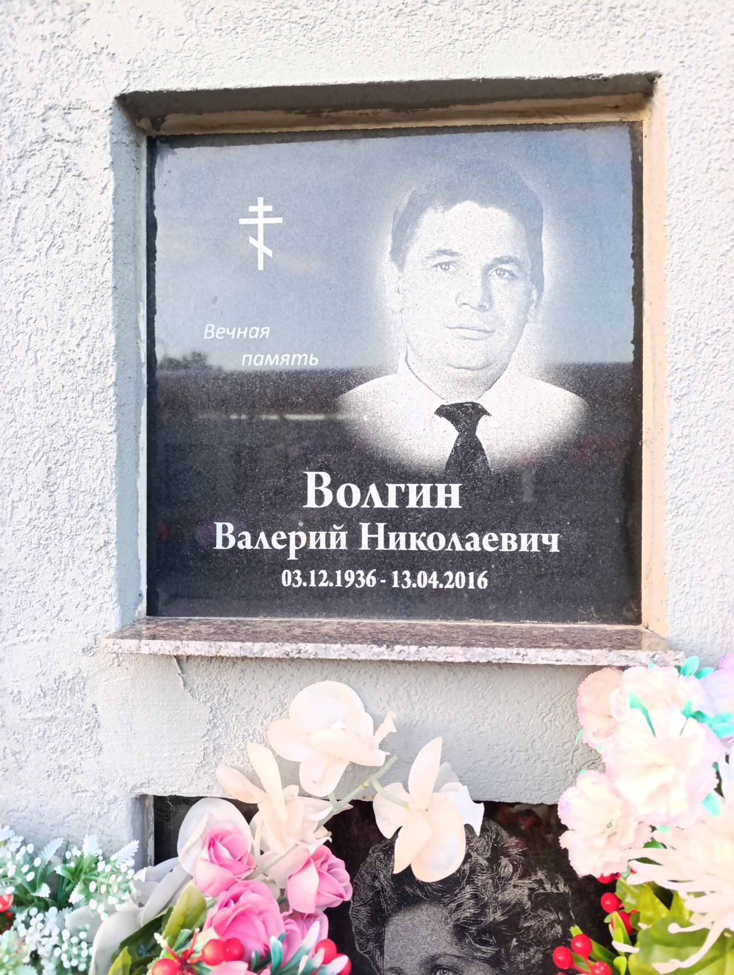 Волгин Валерий Николаевич