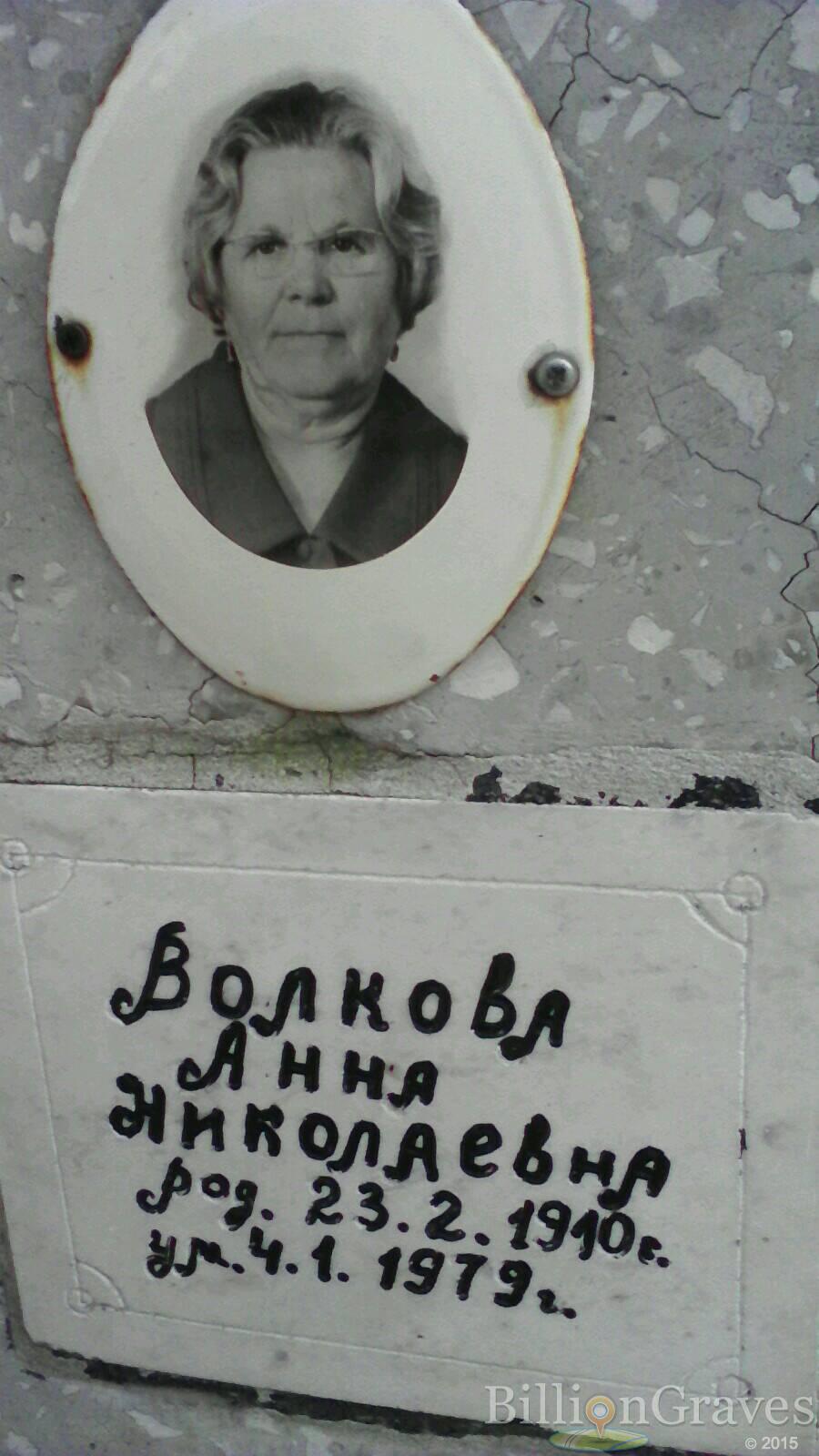 Волкова Анна Николаевна