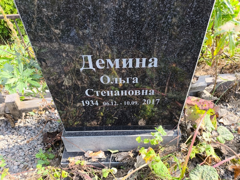 Демина