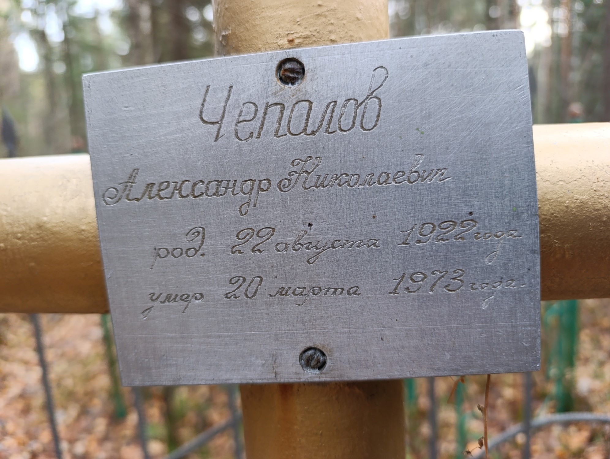 Чепалов Александр Николаевич