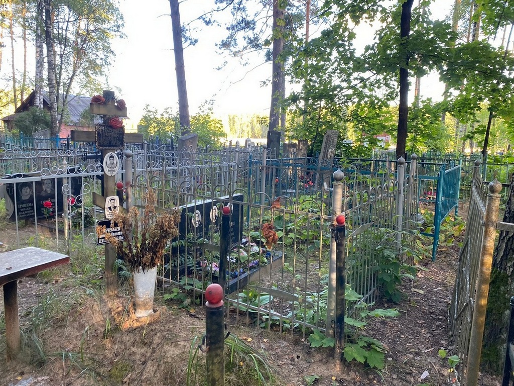 Лебедев Роман Григорьевич