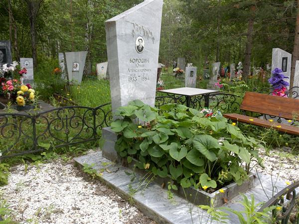 Бородин Юрий Александрович