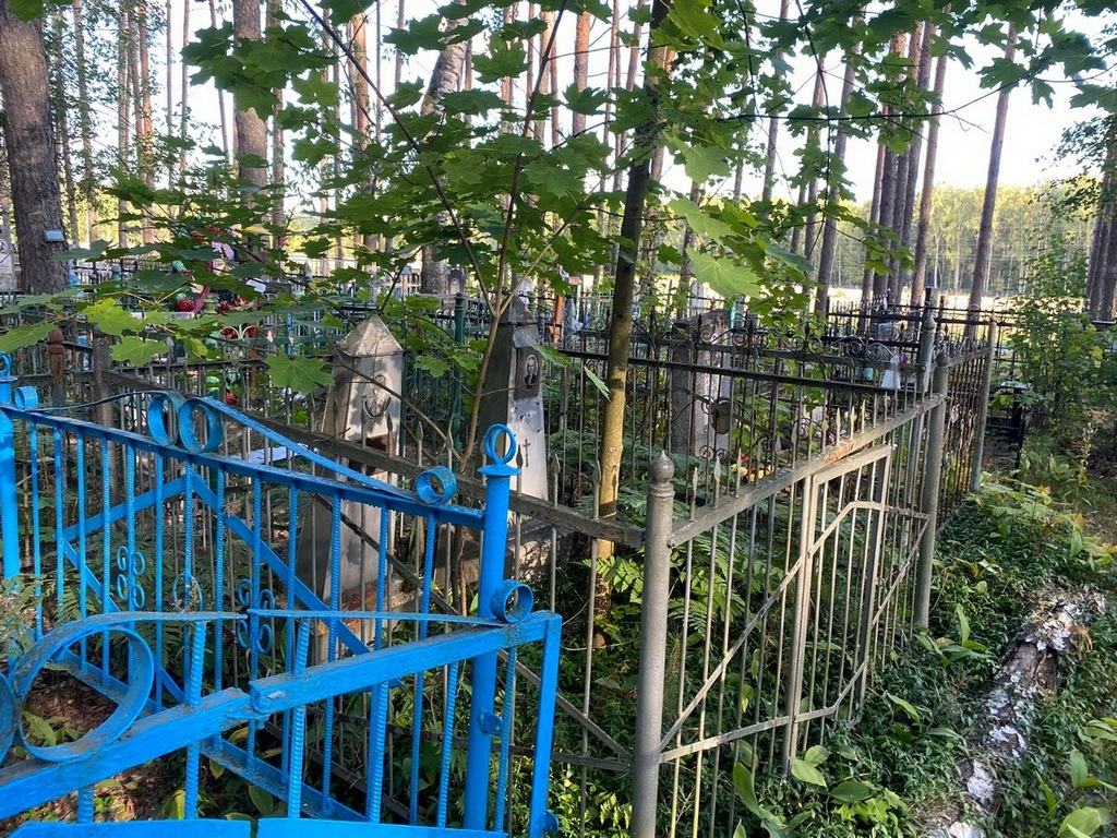 Сидорова Елизавета Александровна