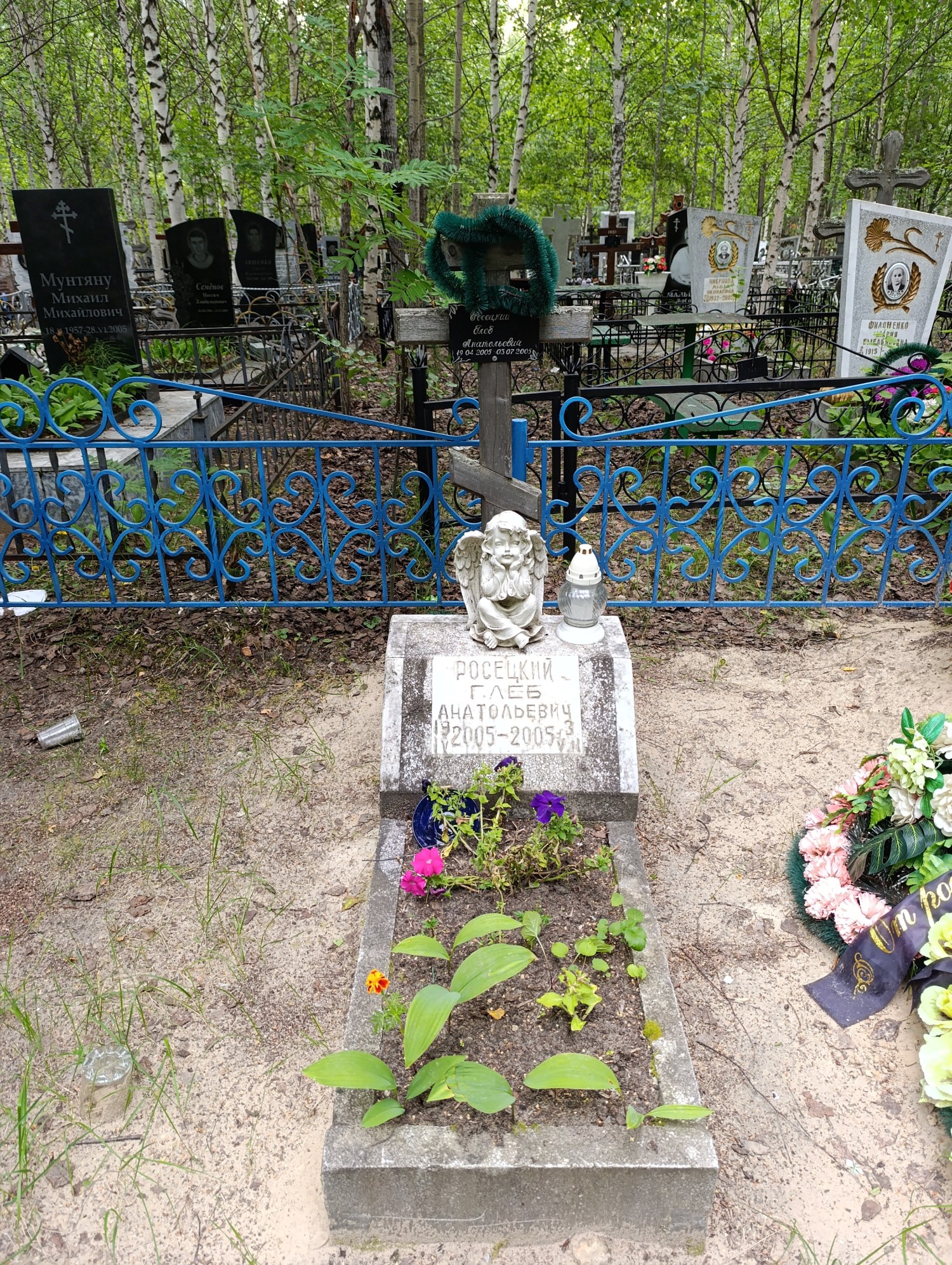 Росецкий Глеб Анатольевич
