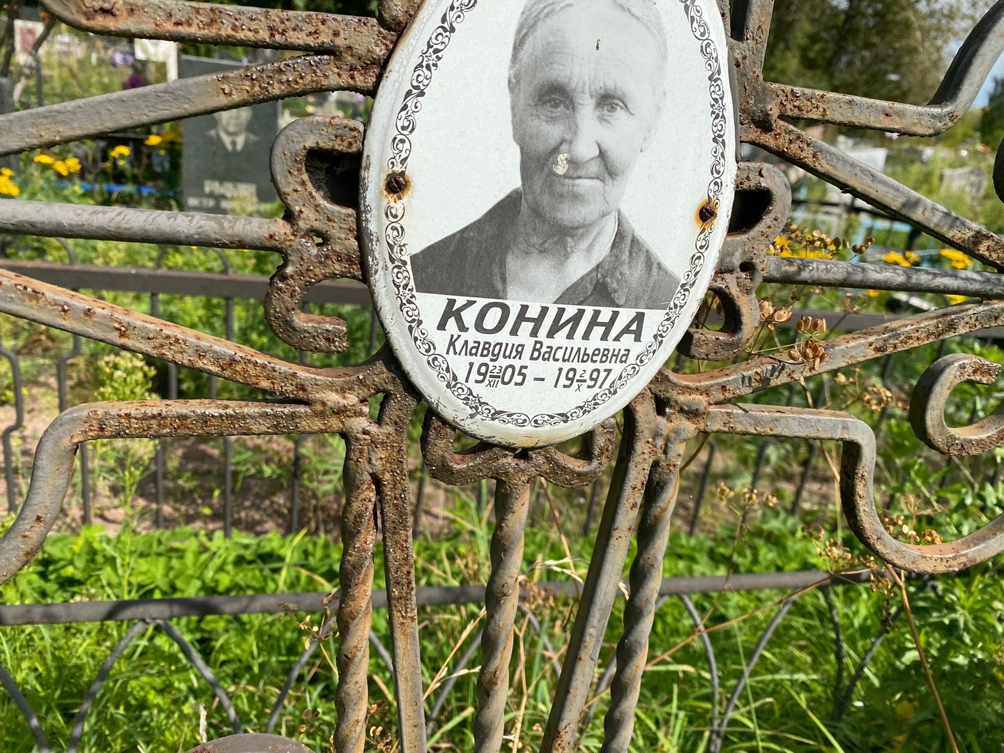 Конина