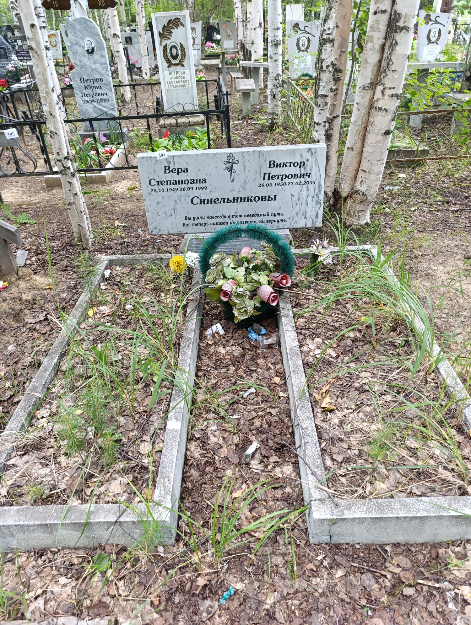 Синельников Виктор Петрович