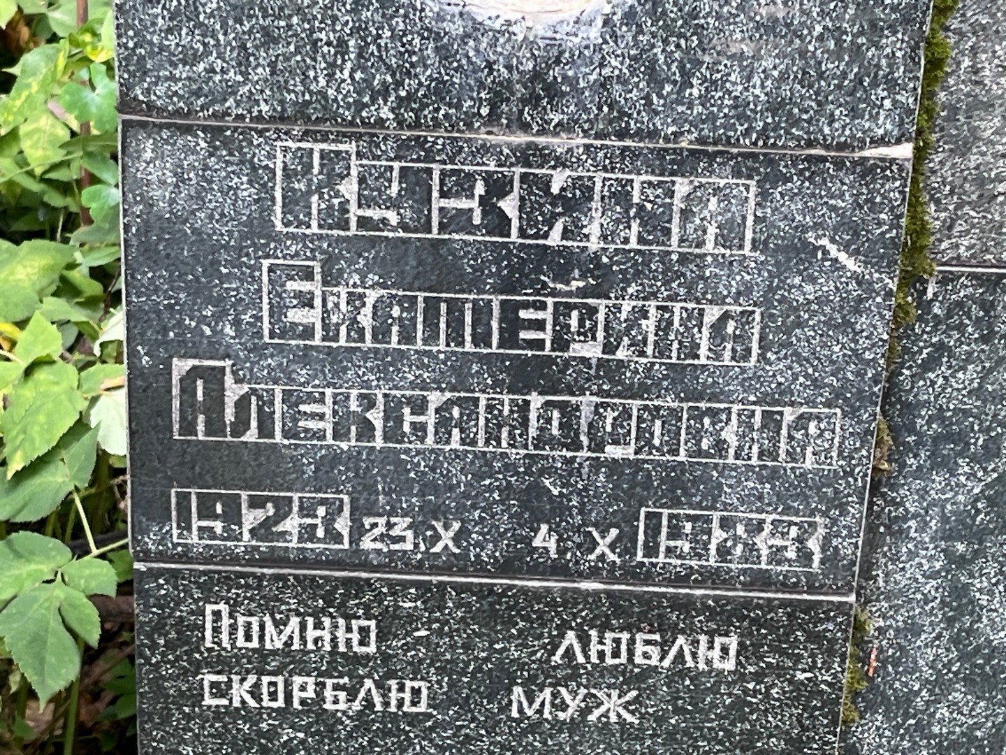 Кузина