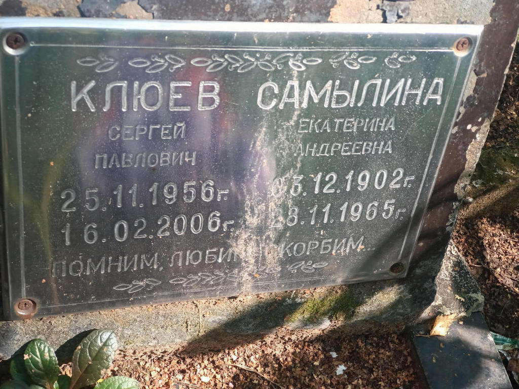 Самылина Екатерина Андреевна