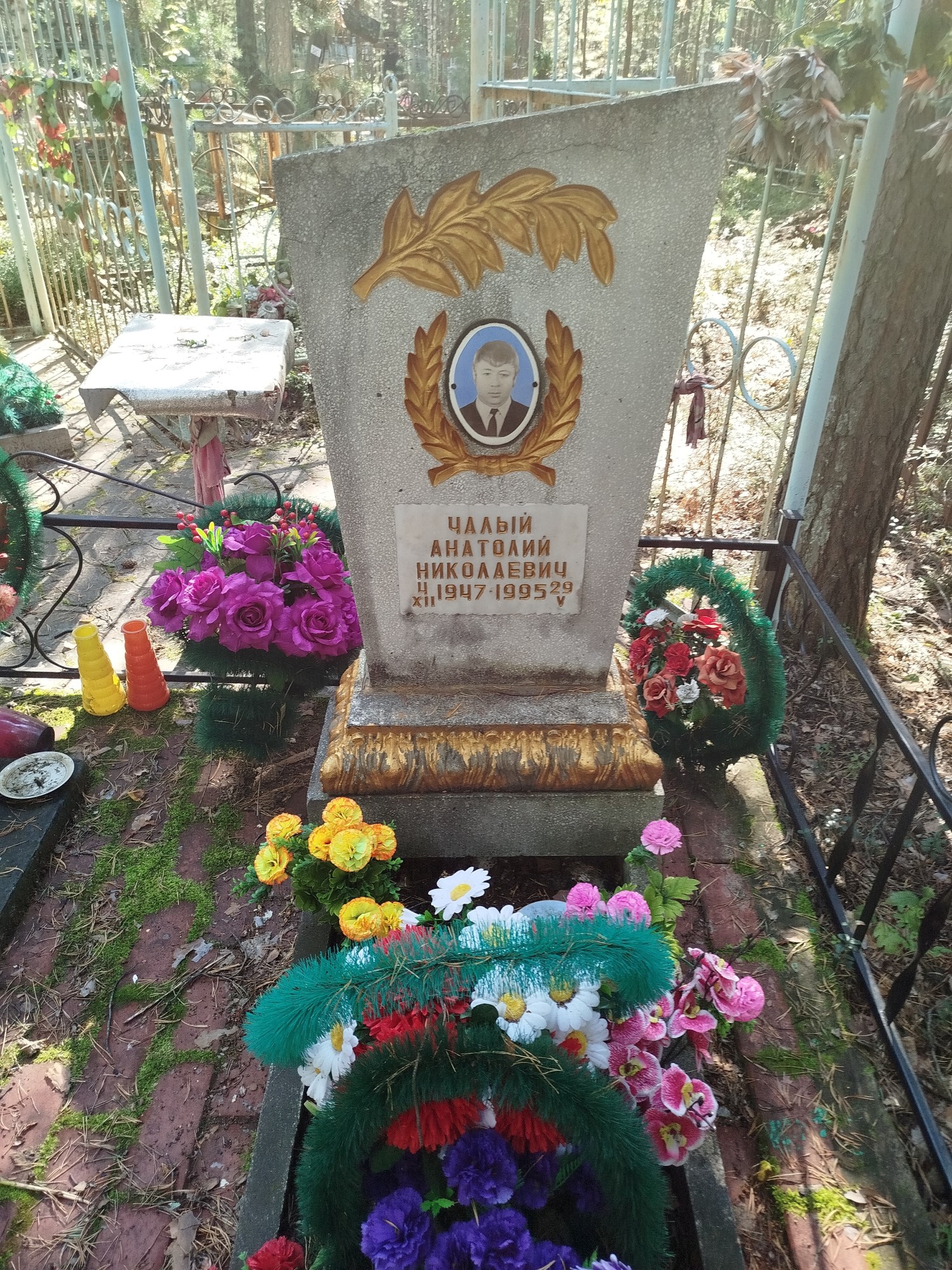 Чалый Анатолий Николаевич