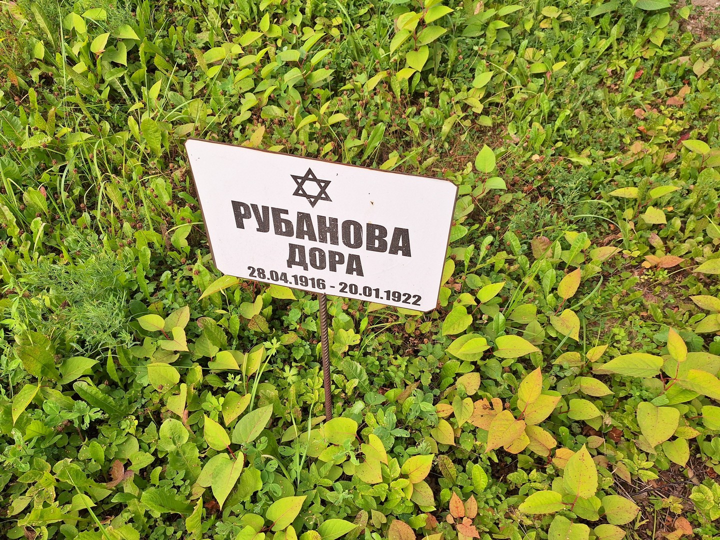 Дора Рубанова