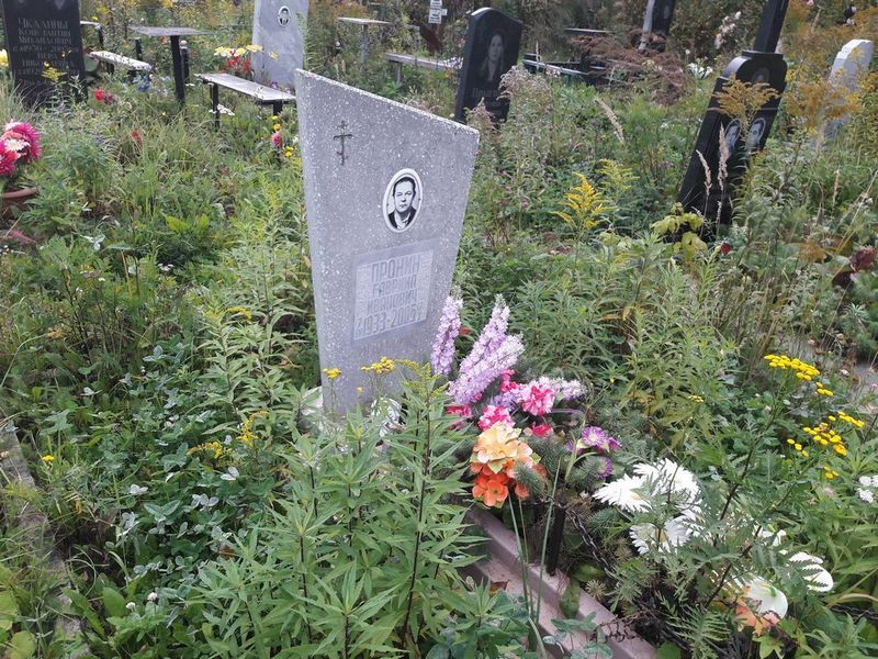 Пронин Гавриил Иванович