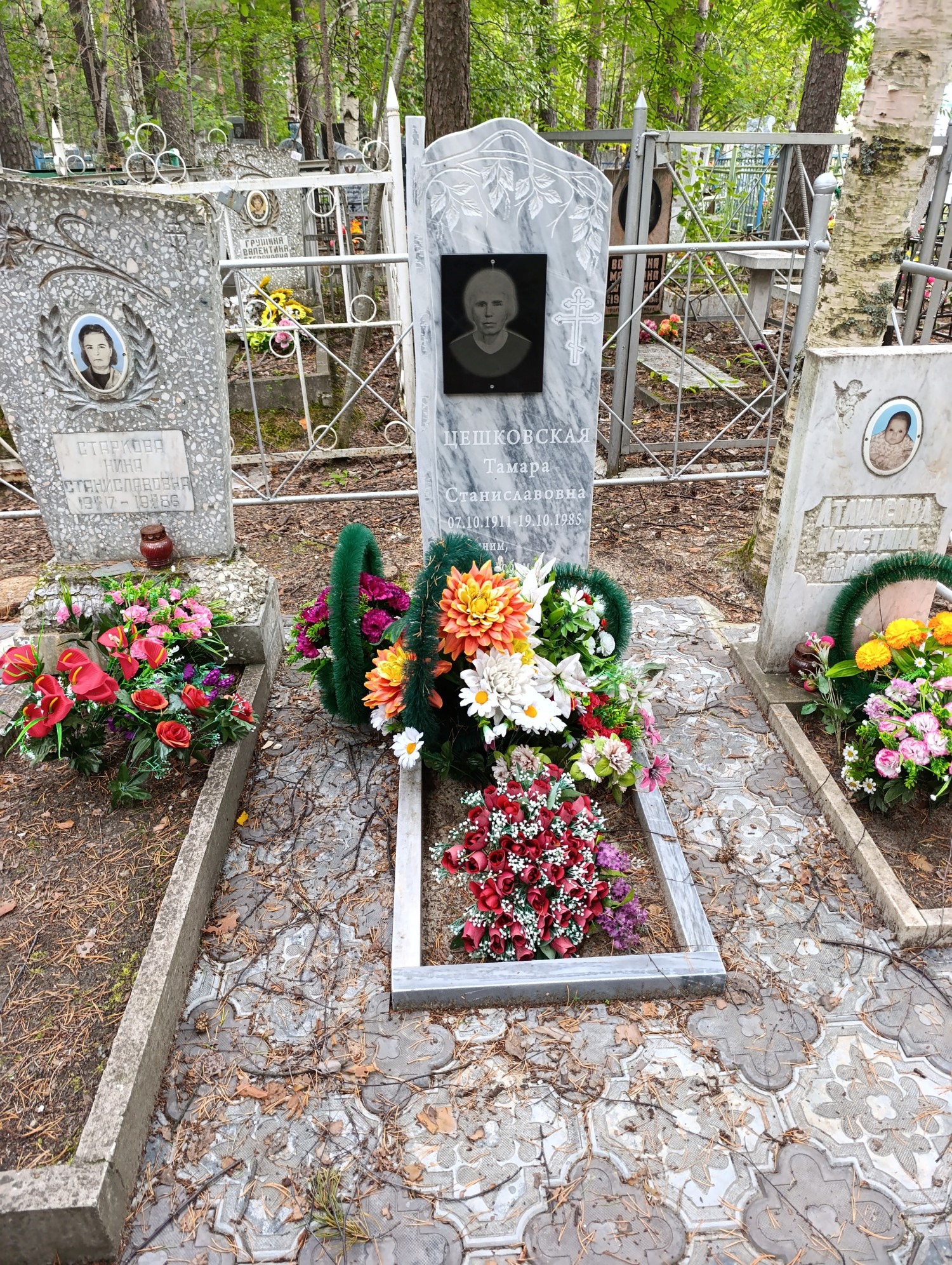 Цешковская Тамара Станиславовна