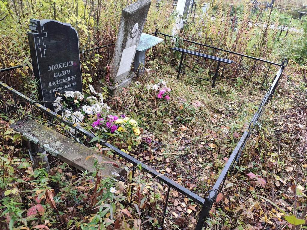 Мокеева Серафима Георгиевна