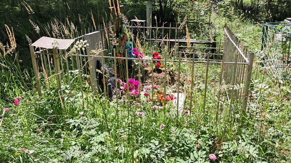 Понетаева Нина Витальевна