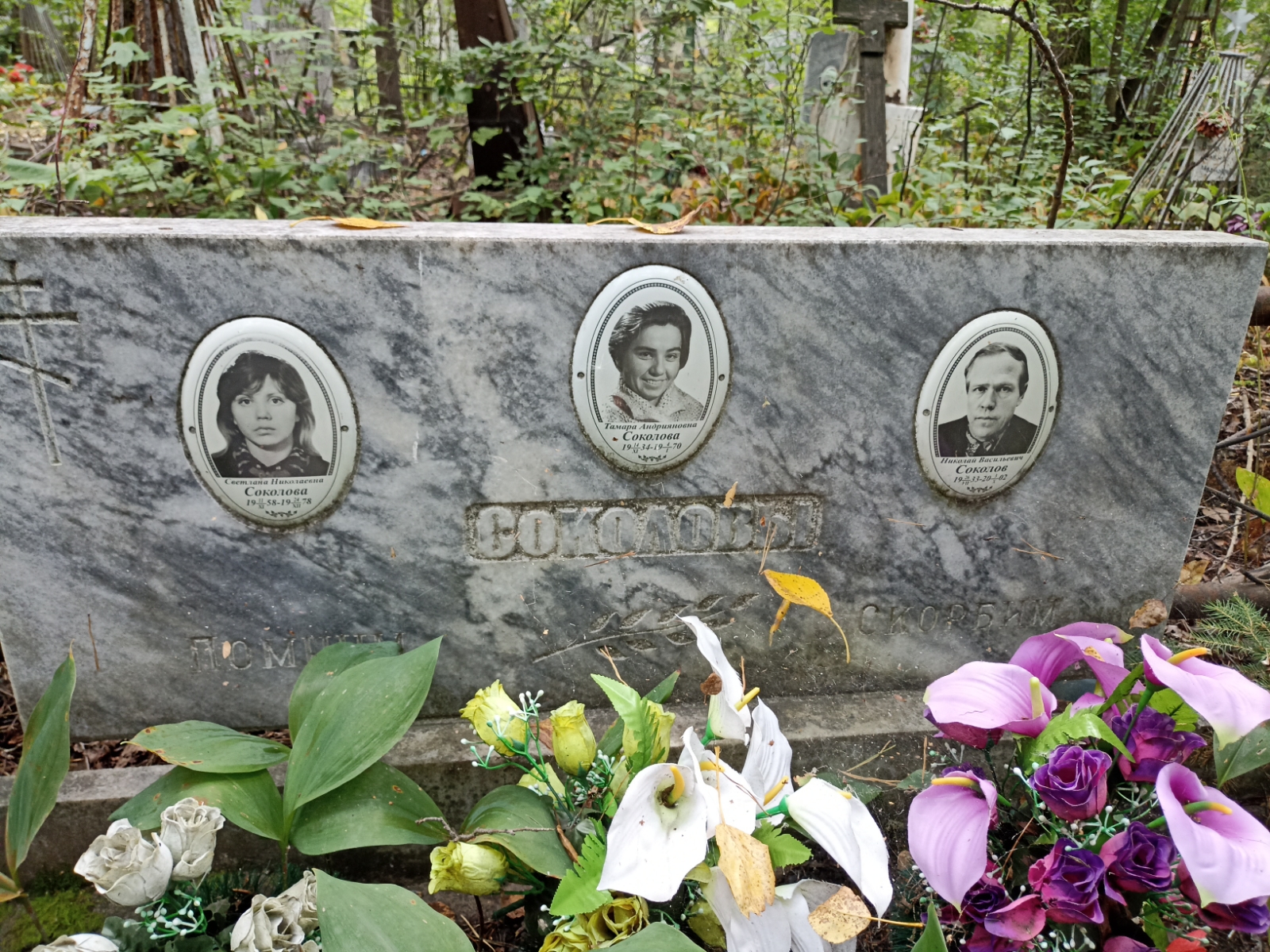 Соколова Светлана Николаевна