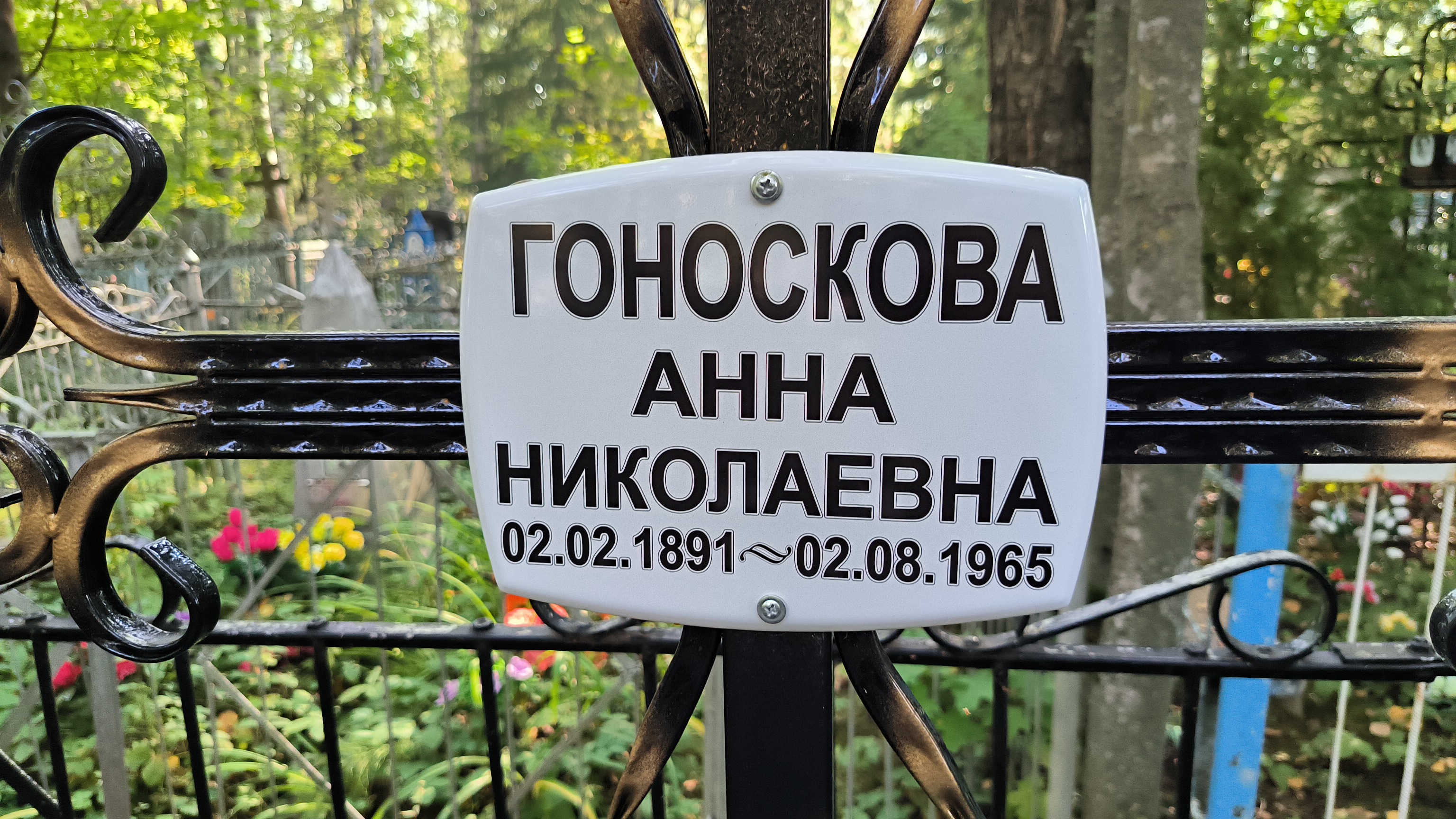 Гоноскова Анна Николаевна