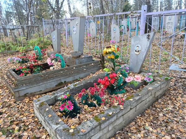 Алекса Александр Андреевич