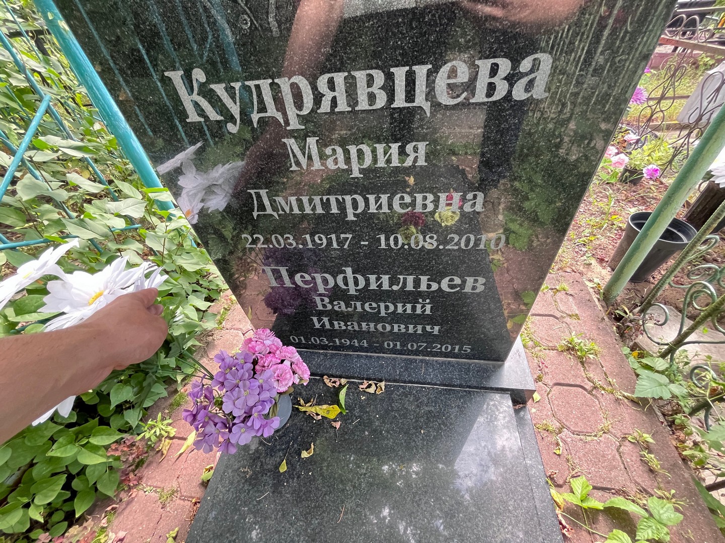 Кудрявцева