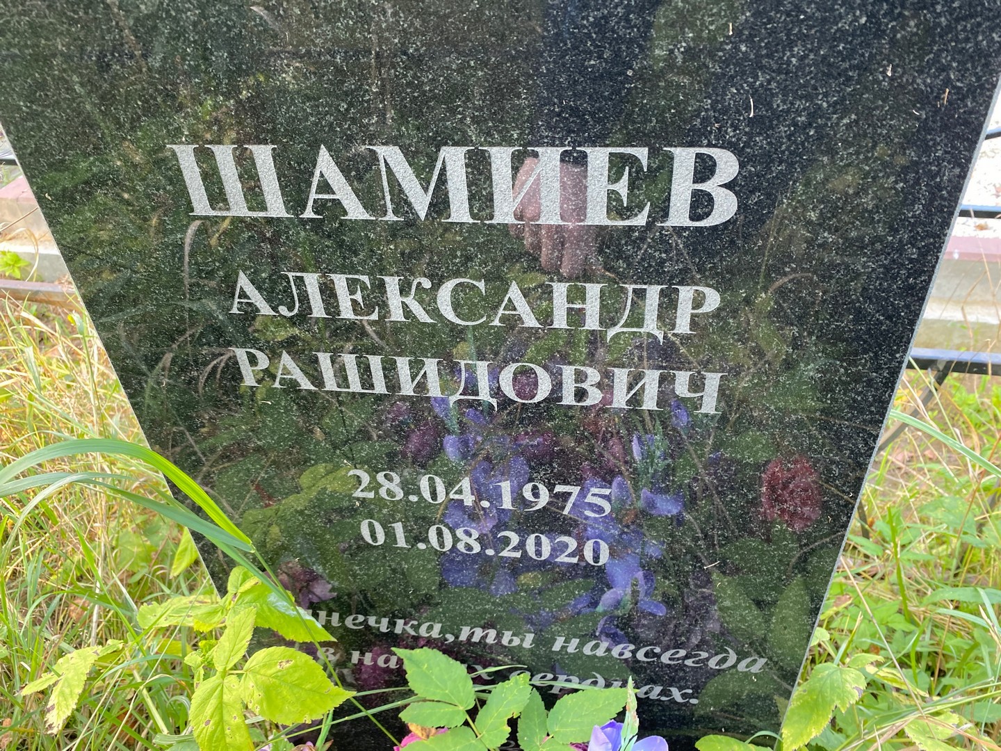 Шамиев