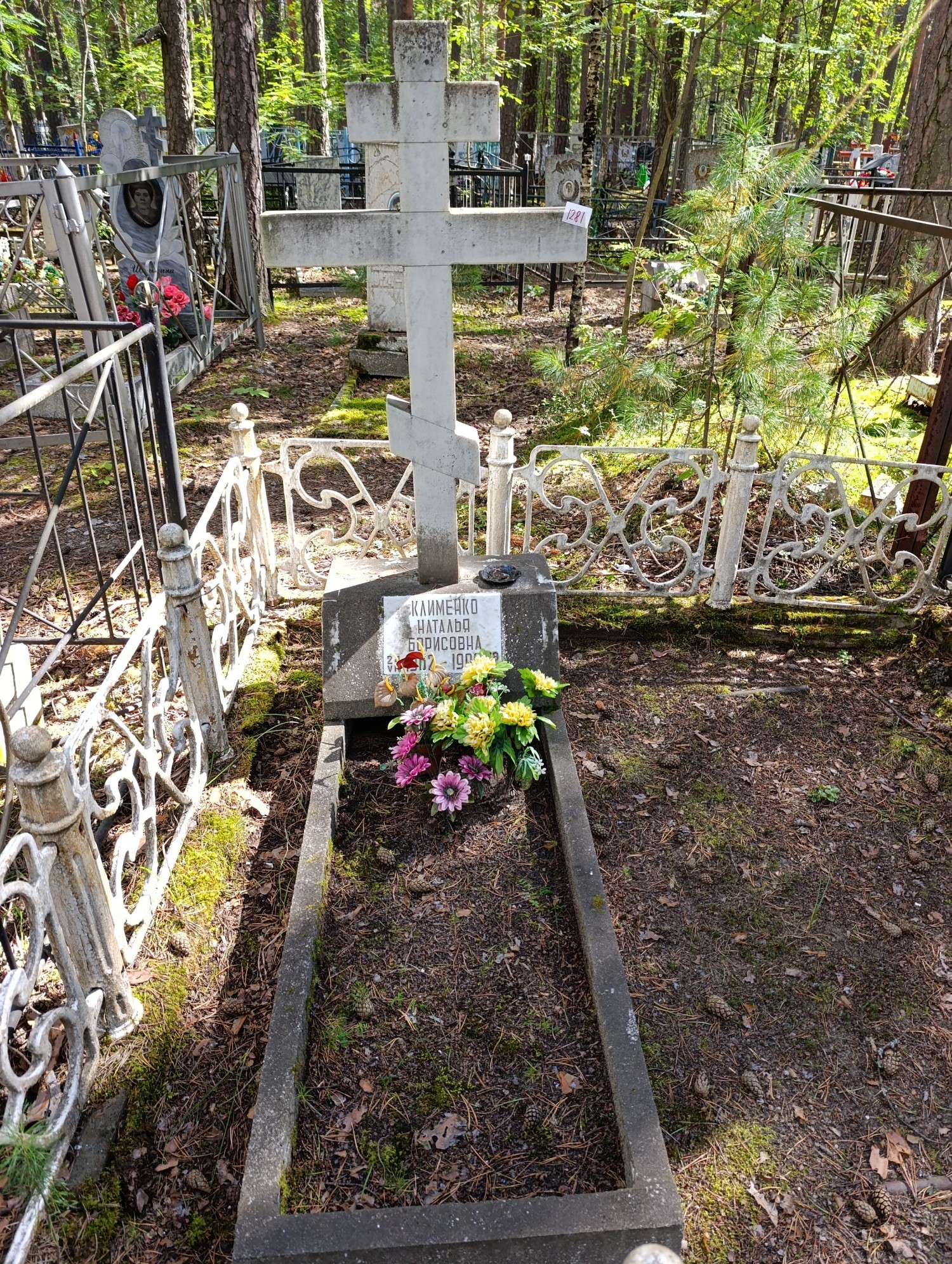 Клименко Наталья Борисовна