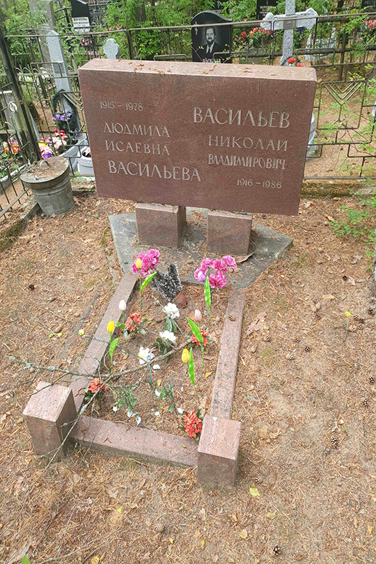 Васильев Николай Владимирович