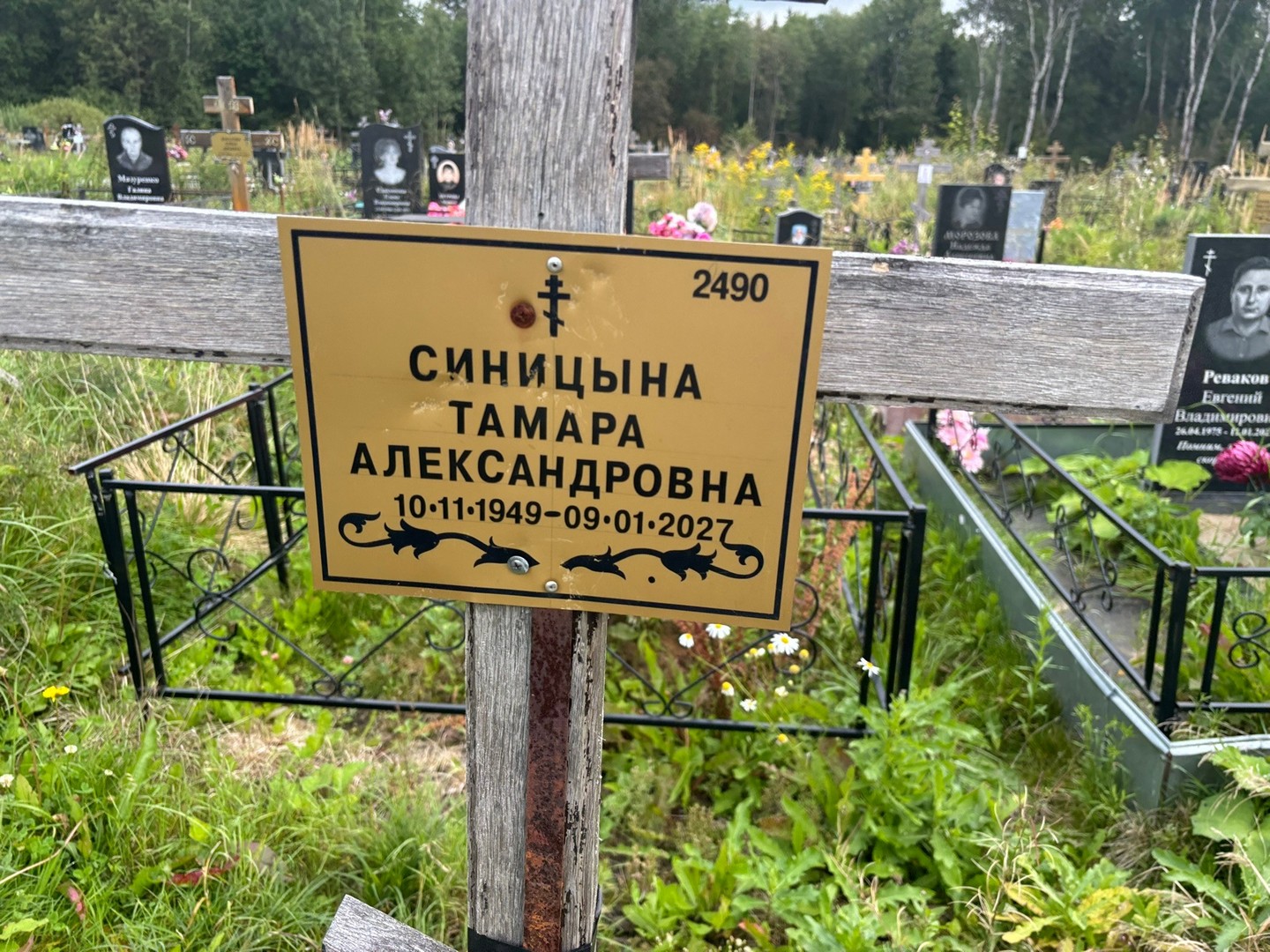 Синицына