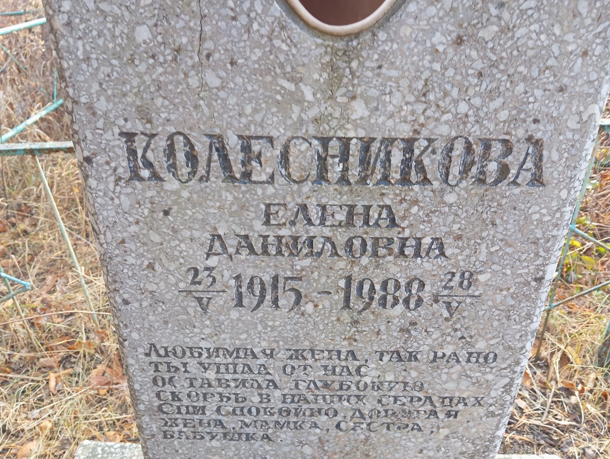 Колесникова Елена Даниловна
